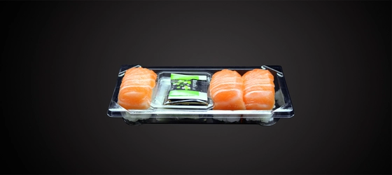 Sushi Nigiri Salmon 